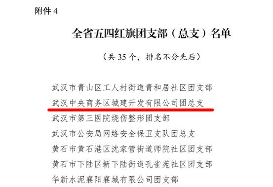 商务区集团所属中城团总支荣获 “全省五四红旗团支部（总支）”荣誉称号